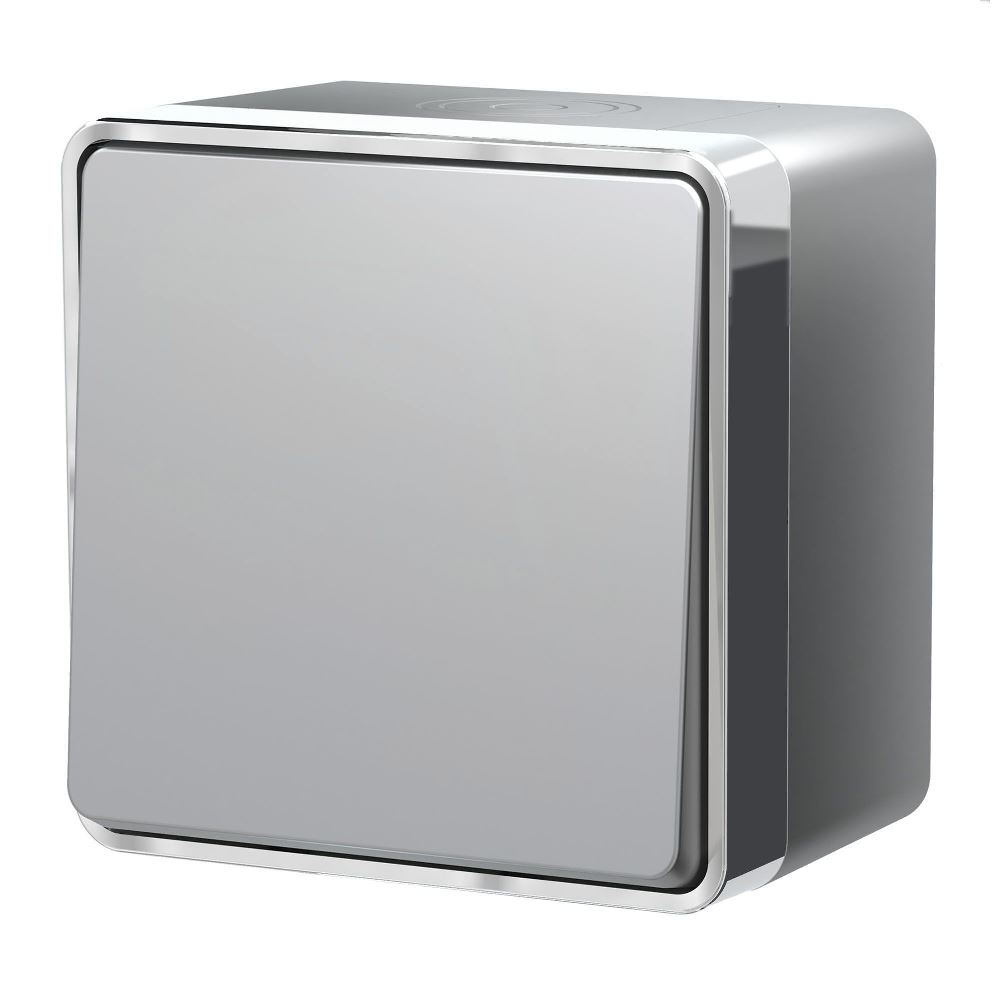 Выключатель одноклавишный накладной влагозащищенный Werkel Gallant Cеребряный W5010206